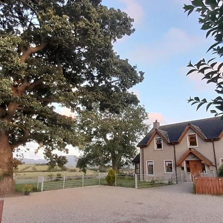 Oaktree Manor Villa Castlewellan Eksteriør bilde
