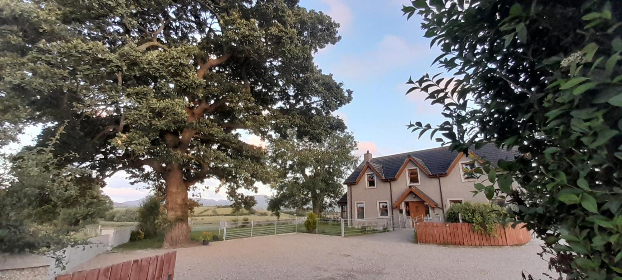 Oaktree Manor Villa Castlewellan Eksteriør bilde