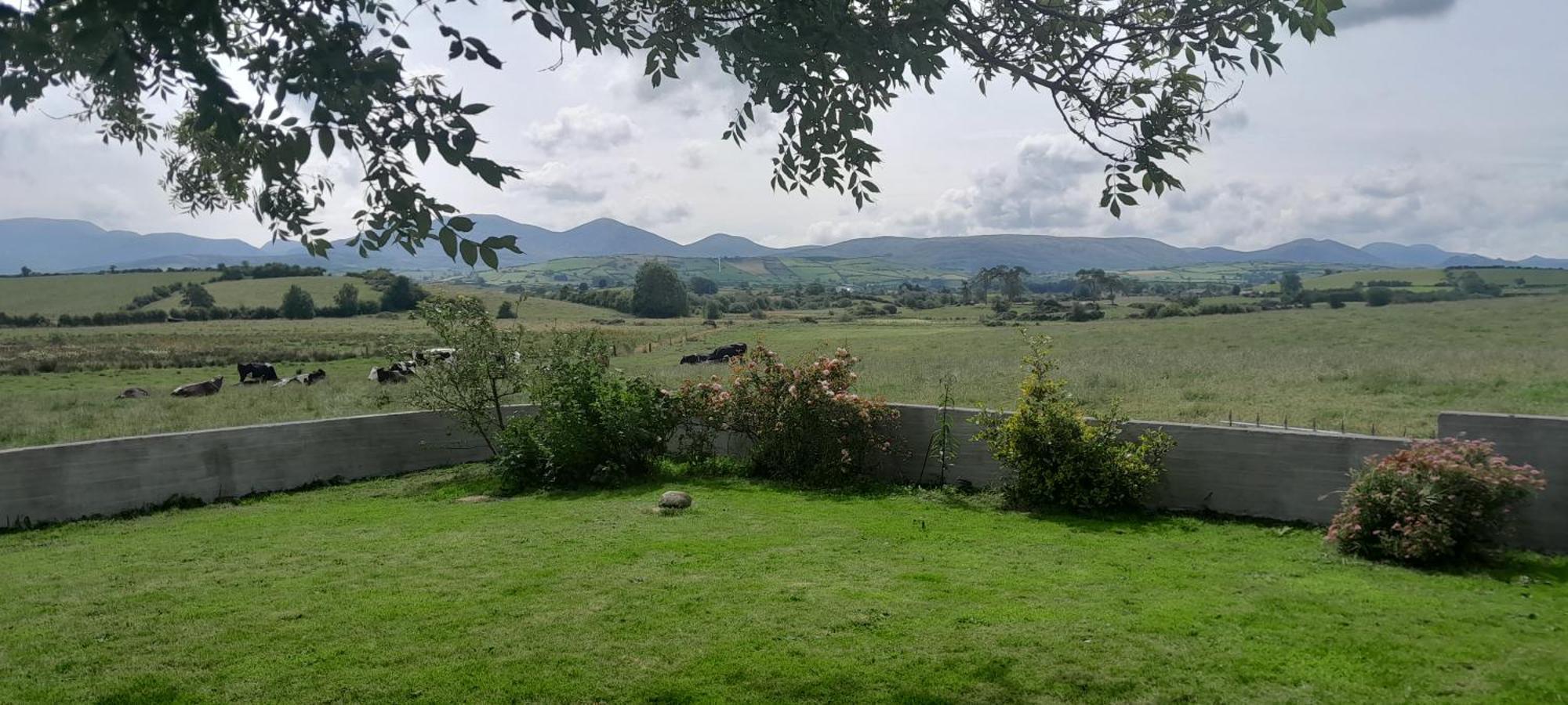 Oaktree Manor Villa Castlewellan Eksteriør bilde